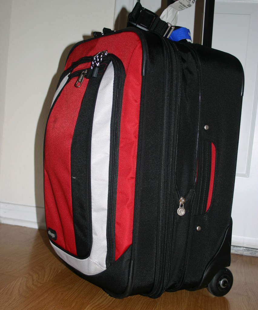 voyager luggage pink